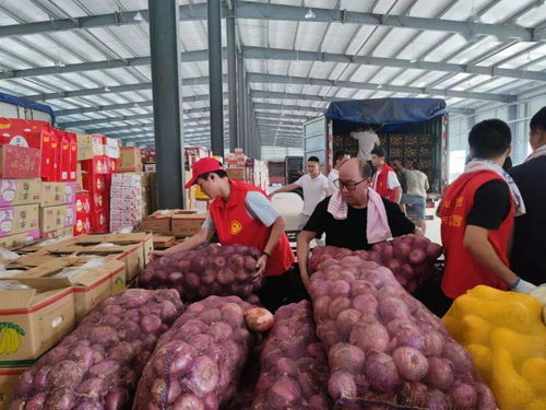 魯豫同心，蔬果傳情 聊城25噸新鮮蔬果馳援河南