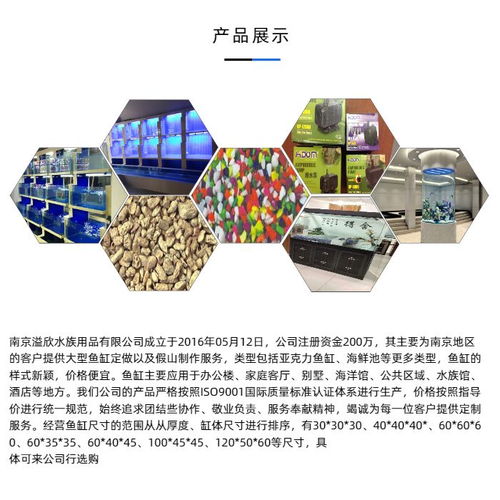 溢欣水族用品 安陽(yáng)專業(yè)亞克力魚缸廠家的匠心制造